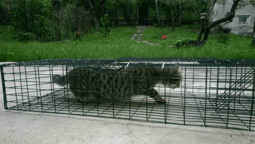 Хуманен капан 1000х320х150 мм