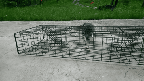 Хуманен капан 1000х320х150 мм