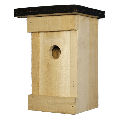 Къща за птици Креативност