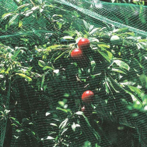 Мрежа срещу птици 5 х 100 м