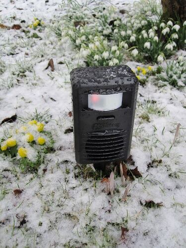 Уред Pestfree против котки, кучета, лициси, зайци, белки 88 кв.м