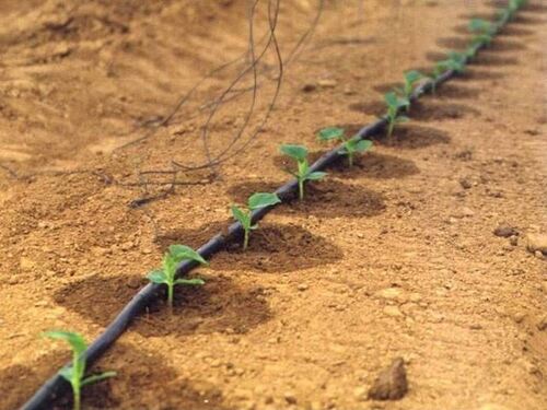 Система за капково напояване Primaterra Linea 50 - 100