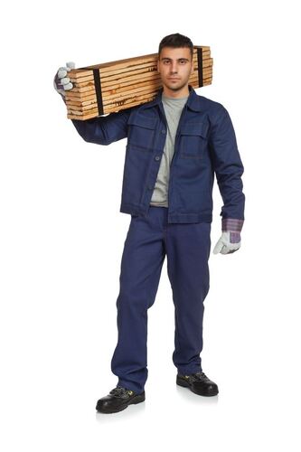 Работно лятно яке Anax