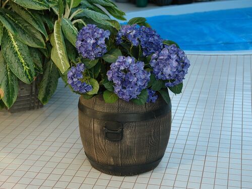 Саксия Рото Буренце S - XXL