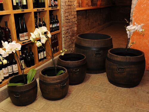 Саксия Рото Буренце S - XXL