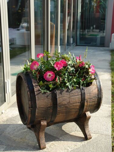 Саксия Рото Буренце 51 x 38 x 48 см