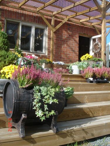 Саксия Рото Буренце 51 x 38 x 48 см