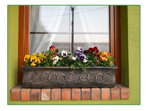 Саксия Рото Планика макси XL 78 x 21 x 18 см