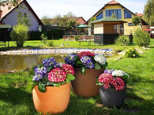 Саксия Рото Румба средна M 40 x 40 x 32 см