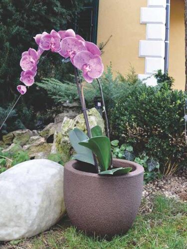 Саксия Рото Румба средна M 40 x 40 x 32 см