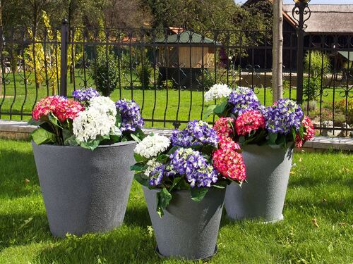 Саксия Рото Джаз малка S 40 x 40 x 33 см