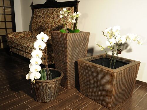 Саксия Рото Кошница 45 x 45 x 35 см