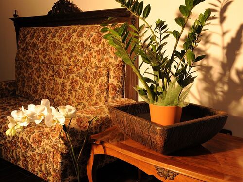 Саксия Рото Йелко малка S 49 x 49 x 19 см