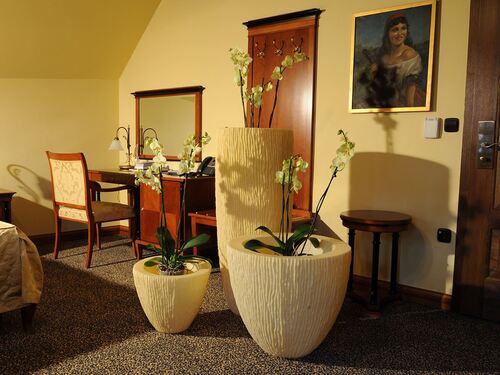 Саксия Рото Самба средна М 62 x 62 x 55 см