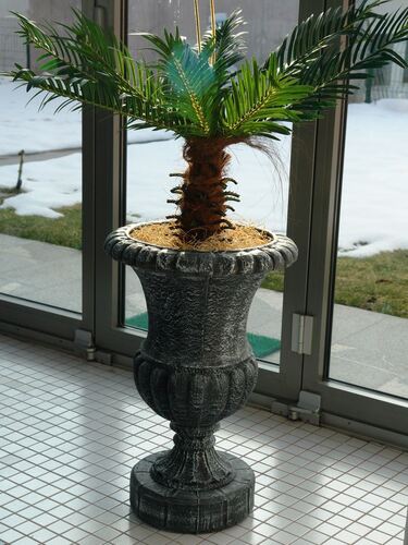 Саксия Рото Ваза висока L 44 x 44 x 64 см