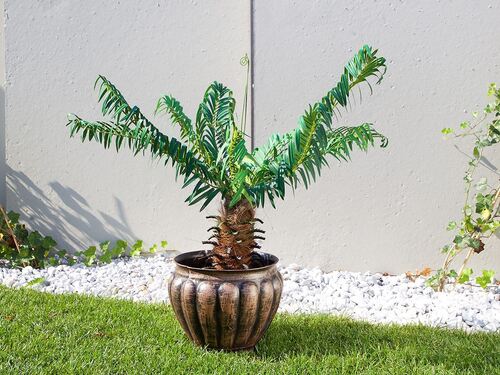 Саксия Рото Звънец средна M 29 x 29 x 24 см