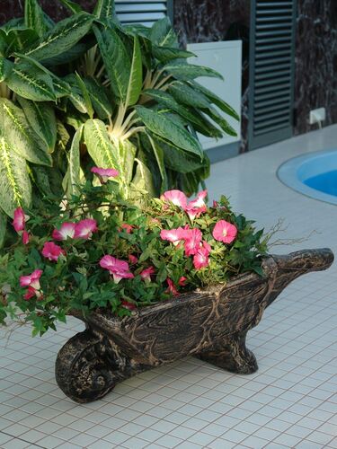 Саксия Рото Количка 6 70 x 35 x 15 см