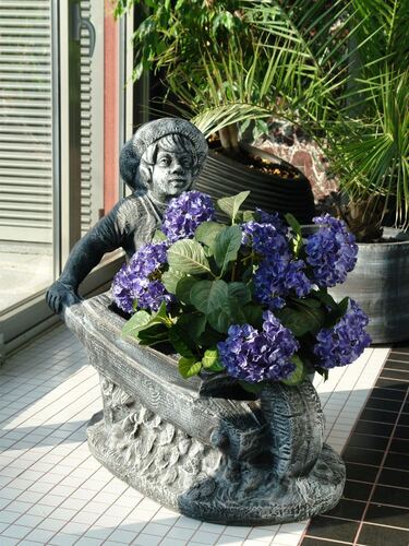 Саксия Рото Момче с количка 71 x 48 x 81 см