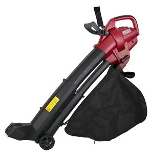 Листосъбирач Raider RD-EBV04