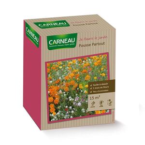 Цветна поляна с калифорнийски мак Carneau Pousse Partout 520 гр Цветна поляна с калифорнийски мак Carneau Pousse Partout 520 гр