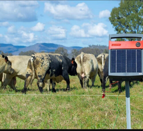 Соларен електропастир Speedrite S 500