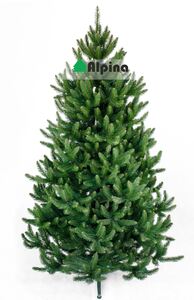 Коледна елха Alpina Натурален Смърч 120 - 250 см Коледна елха Alpina Натурален Смърч 120 - 250 см