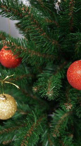 Коледна елха Alpina Натурален Смърч 120 - 250 см