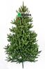 Коледна елха Alpina Див Смърч 120 - 250 см-megahome.bg