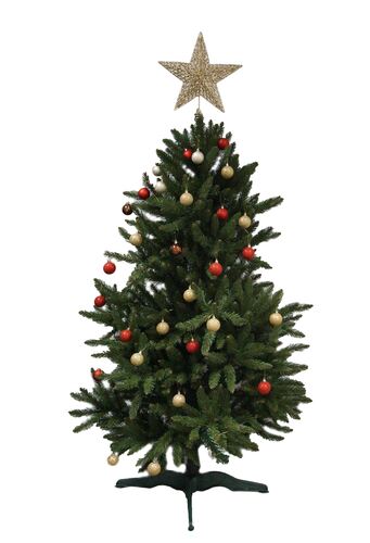 Коледна елха Alpina Див Смърч 120 - 250 см