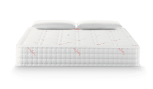 Матрак Riviera by Pierre Cardin 26 см Magniflex