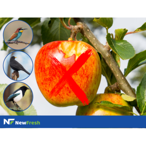 Птицегон за прогонване на Врабчета, Косове, Пчелояди, Врани и др