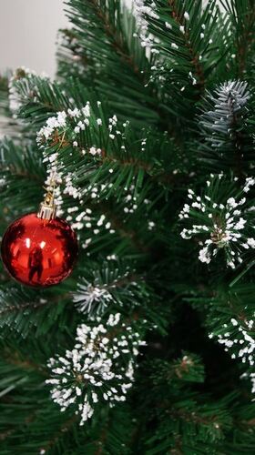 Коледна елха Alpina Заснежен Бор 120 - 250 см