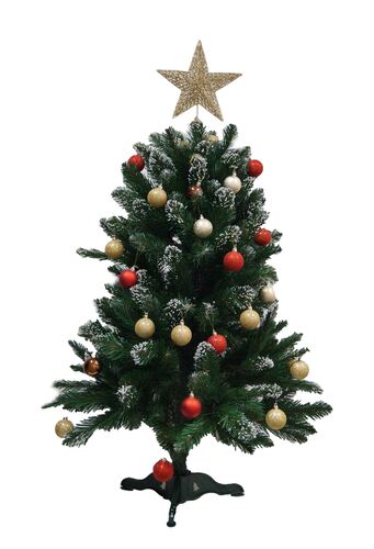 Коледна елха Alpina Заснежен Бор 120 - 250 см