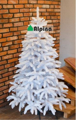 Коледна елха Alpina Бял Смърч 120 - 250 см