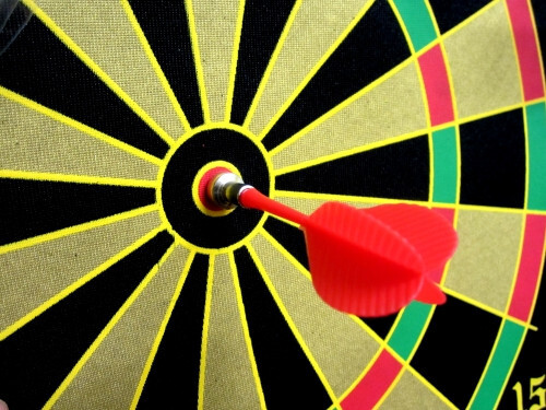 Дартс магнитен в тубус Maxima 31.0 см