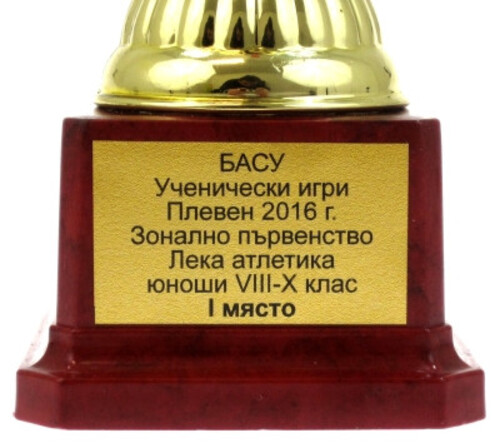 Купа с кристална топка 32 см Maxima