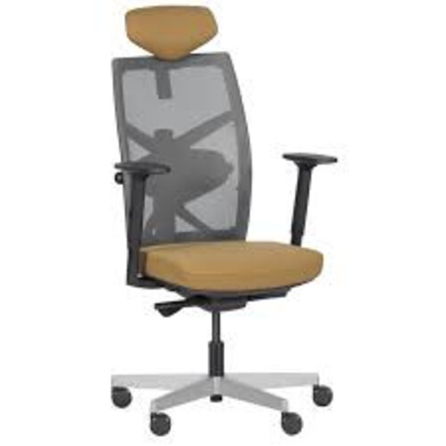 Президентски офис стол FREDO мрежа Carmen