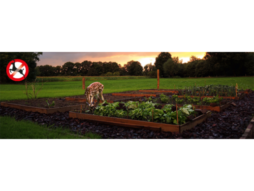 Уред на батерии прогонващ животните с вода Gardigo за 60 кв м