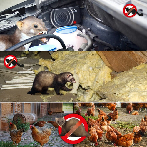 Електронен уред прогонващ мишки и плъхове в коли Gardigo