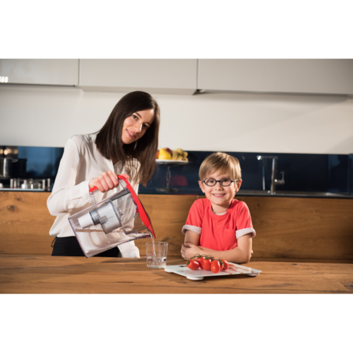 Кана за ултрафилтрация на вода Laica UFSAC02