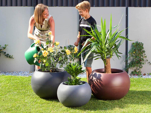 Саксия Свинг Roto Group