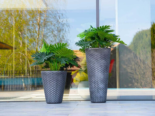 Саксия Латино Roto Group 37 x 37 x 76 см