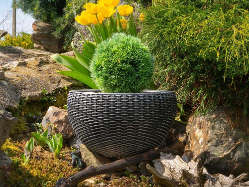 Саксия Бамбус Roto Group 33 x 33 x 20 см