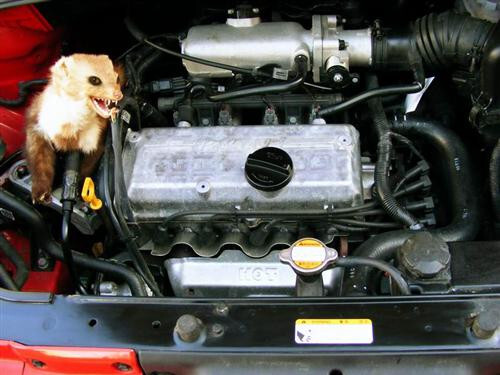 Уред за защита от кучета, котки и гризачи за автомобил