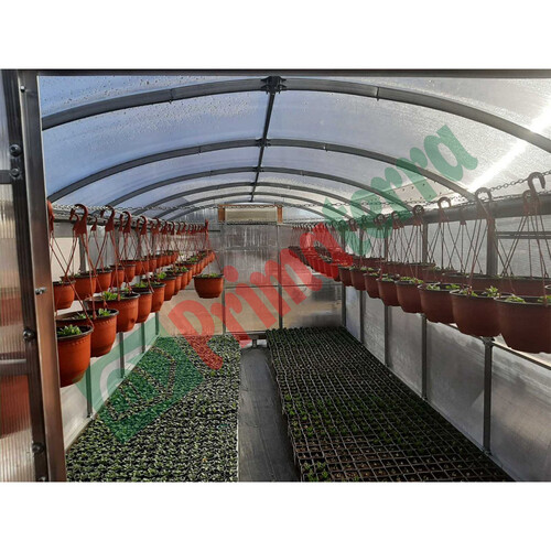 Оранжерия Primaterra Fiorista  3 х 4 - 11 м