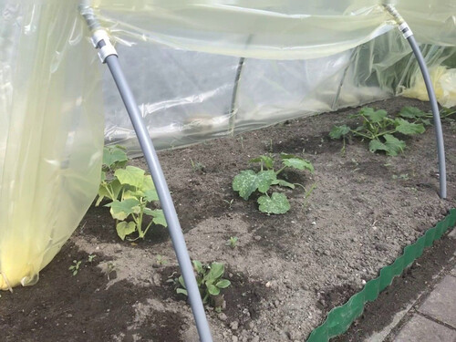 Парник Primaterra Letto от найлон 4, 6 и 8 м