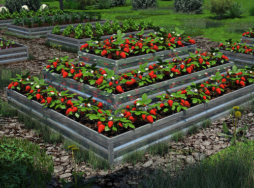 Цветарник Primaterra Пирамида правоъгълна