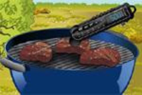 Термометър за печени меса Laserliner ThermoMaitre