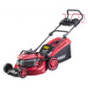Косачка бензинова Raider 196cc 3.2kW 53см 60л 2500m2 RD-GLM10-megahome.bg
