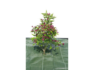 Тъкан за мулчиране Nortene Weedsol 90 гр